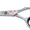 DMI S550 Hairdressing Scissor, Iridescent Silver 5.5"