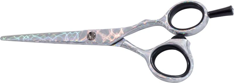 DMI S550 Hairdressing Scissor, Iridescent Silver 5.5" 1 DMI S550 Hairdressing Scissor, Iridescent Silver 5.5"