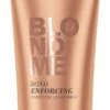 Schwarzkopf Professional BLONDME Bond Enforcing Paint-On Lightener 250ml
